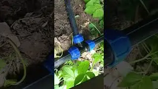 Горячая вода на Даче - это Реально!
