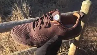 Lems Primal 2 Review