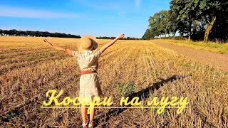 КОСАРИ НА ЛУГУ🌸Христианская музыка
