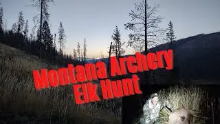 Montana Archery Elk Hunt: Part 1 *edit updated with cow age*