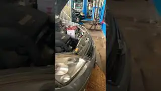 Suzuki Baleno Bunyi tikus