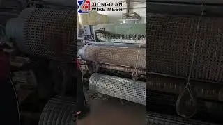 High Quality Zinc Coated Wire mesh Galvanized Bird Cage Welded Wire Mesh Roll for Fence Mesh