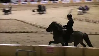 OD22V1Depill från Fögruhlíð
