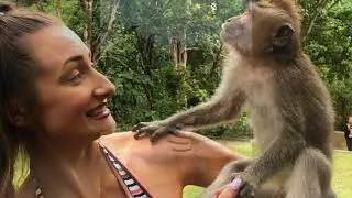 YOU HAVE TO GO TO BALI