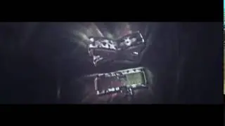 Fantro » SHXRKZ