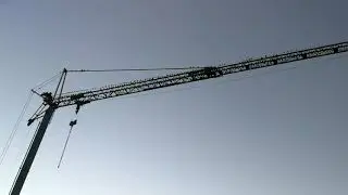 Bird infestation in crane