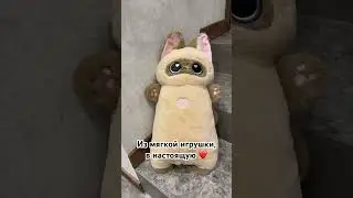 Кстати всех с пасхой 🐣🥡❤️ #shortvideo