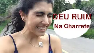 Deu Ruim na Charrete - Por Gabriela Gobo, Blog Jeito de Cowboy