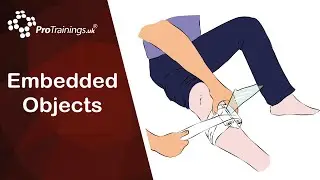 Embedded Objects