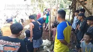 IDUL ADHA 17 JUN 2024 MASJID BAITUL MAKMUR