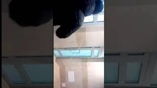 Поставили пожарную кнопку