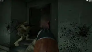 Insurgency: Explosive years 2021-2022