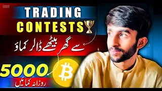 How to Apply for Free Contents and Earn 500$ - PrimeXBT & BingX Overview