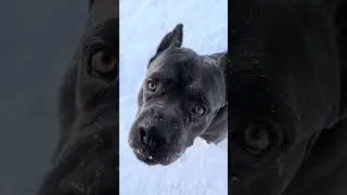 Титан и наст 🙈