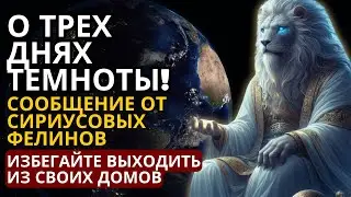 О ТРЕХ ДНЯХ ТЬМЫ! СООБЩЕНИЕ ОТ СИРИУСОВЫХ ФЕЛИНОВ