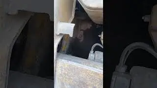 24 мая 2023 г.