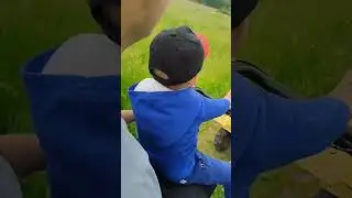 деревенские будни
