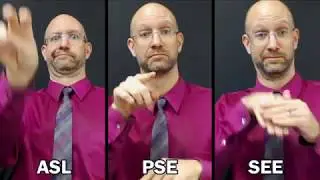 ASL vs. PSE vs. SEE - House Description