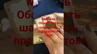 Мишель Обама, есть шанс стать президентом США?