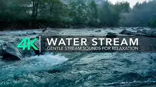 [10 Hours] Gentle Stream Sounds | Relaxing Water Lapping for Relaxation, Sleep, Insomnia