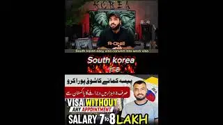 Want to make money???? #beigetraveltrip #southkorea #southkoreatourism #workpermit #europevisa
