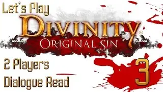 Let's Play: Divinity Original Sin - Part 3