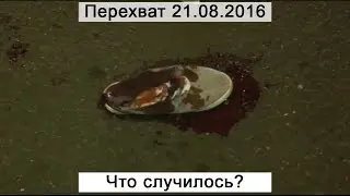 Interception 21/08/2016