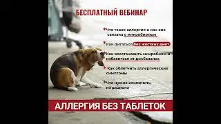 Восстановление Микробиома: Ключ к Здоровой Жизни