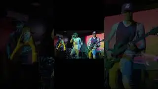 Кавер на Can't Stop, Red Hot Chili Peppers