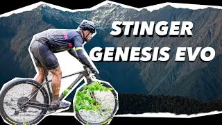 Stinger Genesis Evo 2024 Обзор от райдера