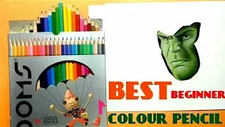 Best Begainers coloured pencils  (DOMS)