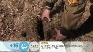 Тайник в лесу. Схрон