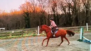 Mondeuse Jump School 03282024