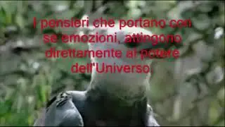 Benvenuti nel pianeta Terra