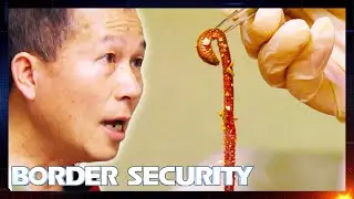 150g Of Live Worms Found In Bag Can Get Fisherman Prosecuted 🪱🤢 | S10 E7 | Border Security Australia