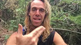 Keys to Freedom - Releasing Trauma