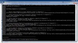 5_02  Running Tests On The Selenium Server Internally
