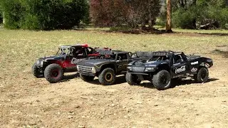 Hammer and Baja's