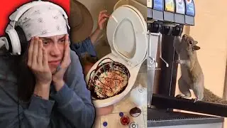 TikToks That Ruined My Day w OnlyJayus