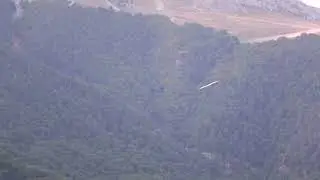 Griffon Vulture.Сип білоголовий (Gyps fulvus)  Сип белоголовый.