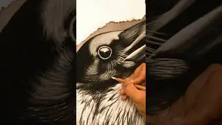 How much do you like these sounds?