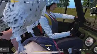 тиминг2
