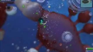 Видео обзор Выживалка SPORE.