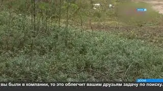 Безопасность в лесу