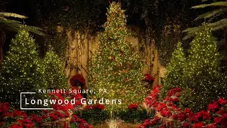A Longwood Christmas