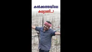 കൽക്കത്തയിലെ കല്യാണി...?കണ്ണിൽ കണ്ടതും.. ഉള്ളിൽ കൊണ്ടതും...12