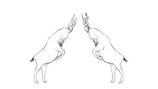 Markhor 2D Animation