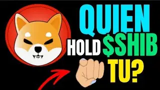 HOLD Shiba INU TOKEN HOY? Mira el Video OMG Shiba Eternity!