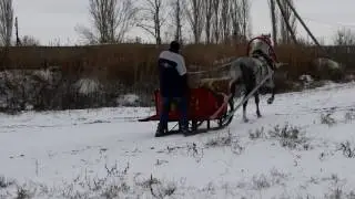 Д Е К А Б Р Ь: гонки в санях