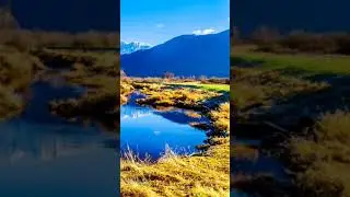 Мем мы команда 228